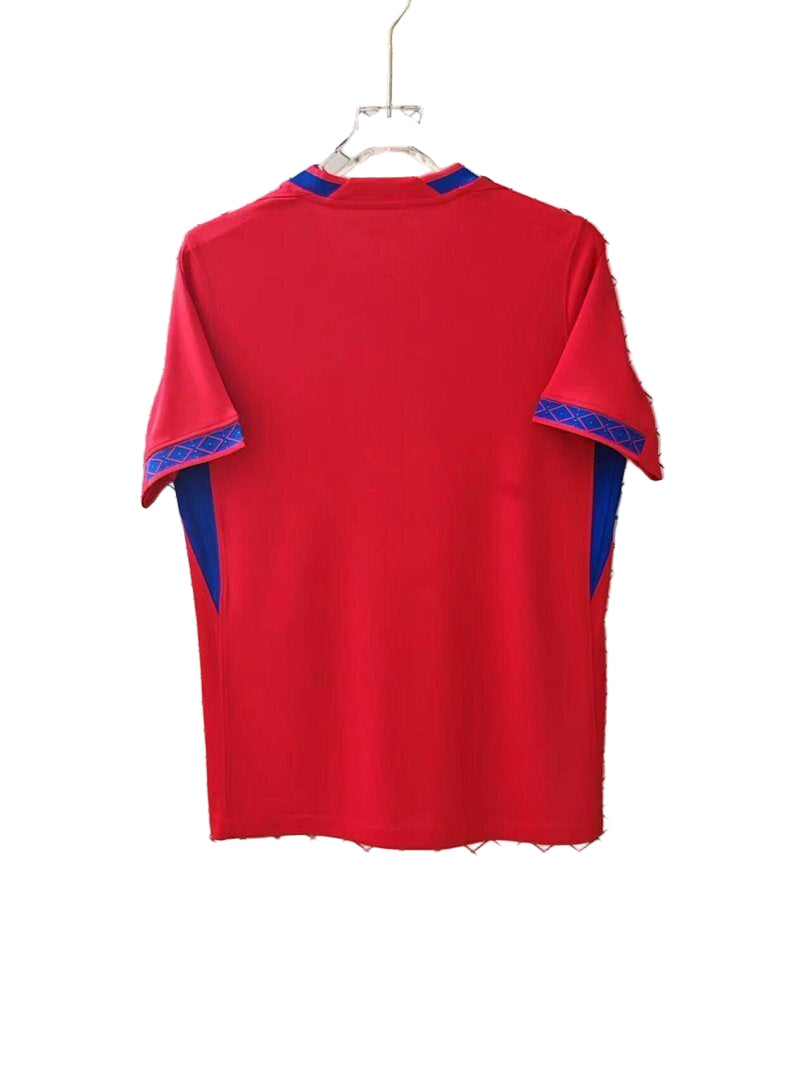 Primera Equipación Noruega Mundial 2026