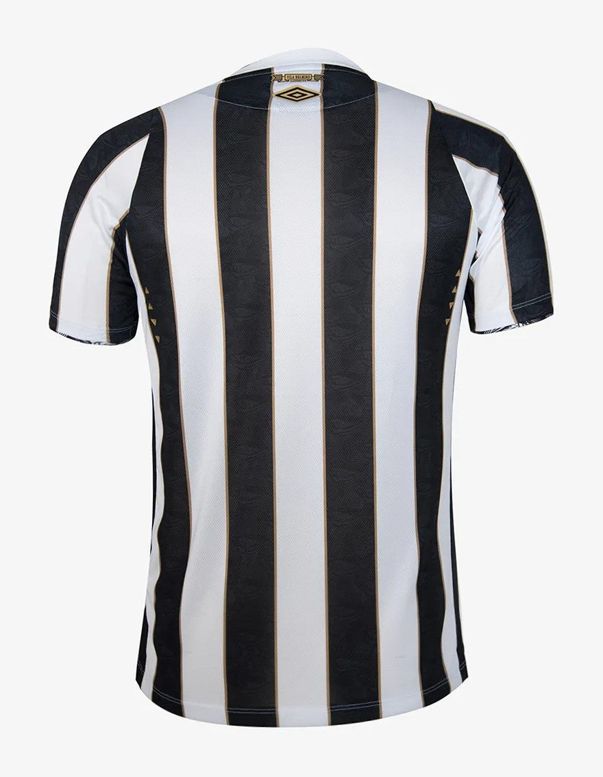 Segunda Equipacion Santos 24/25