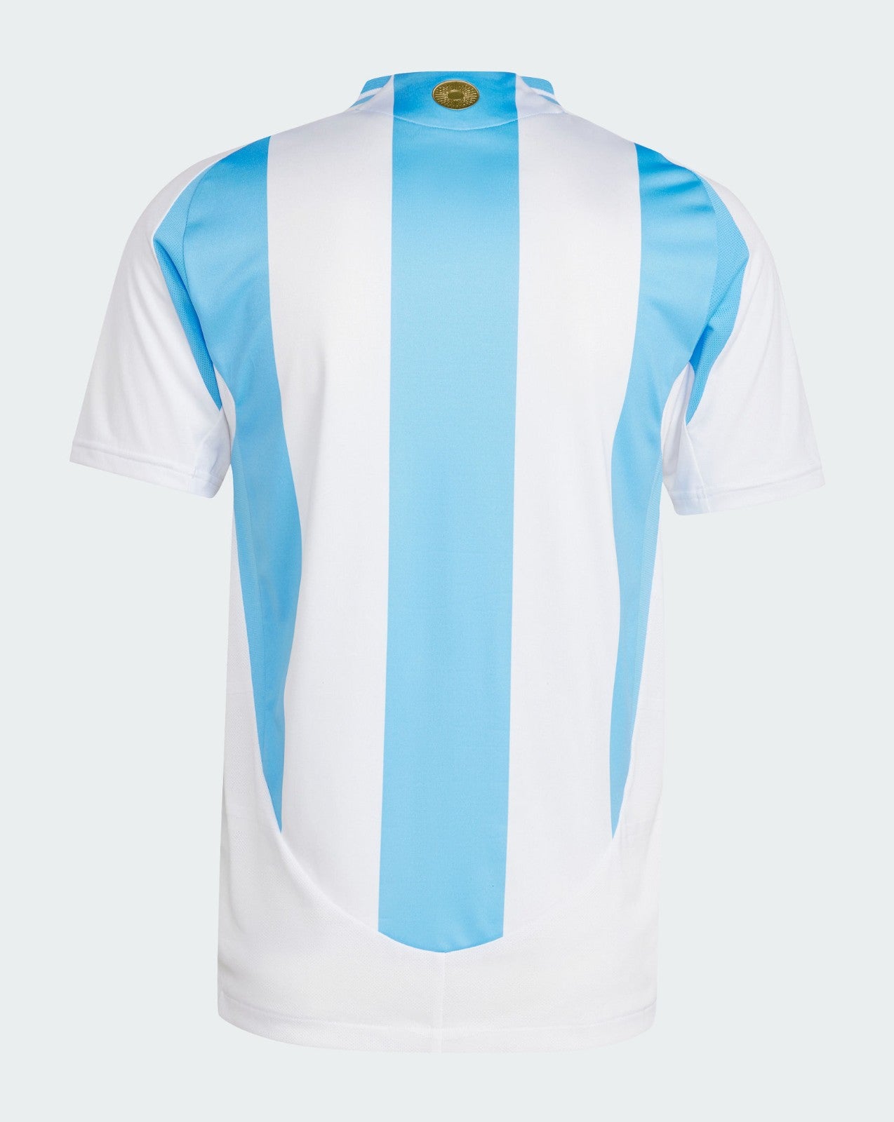 Primera Equipación Argentina Copa América 2024